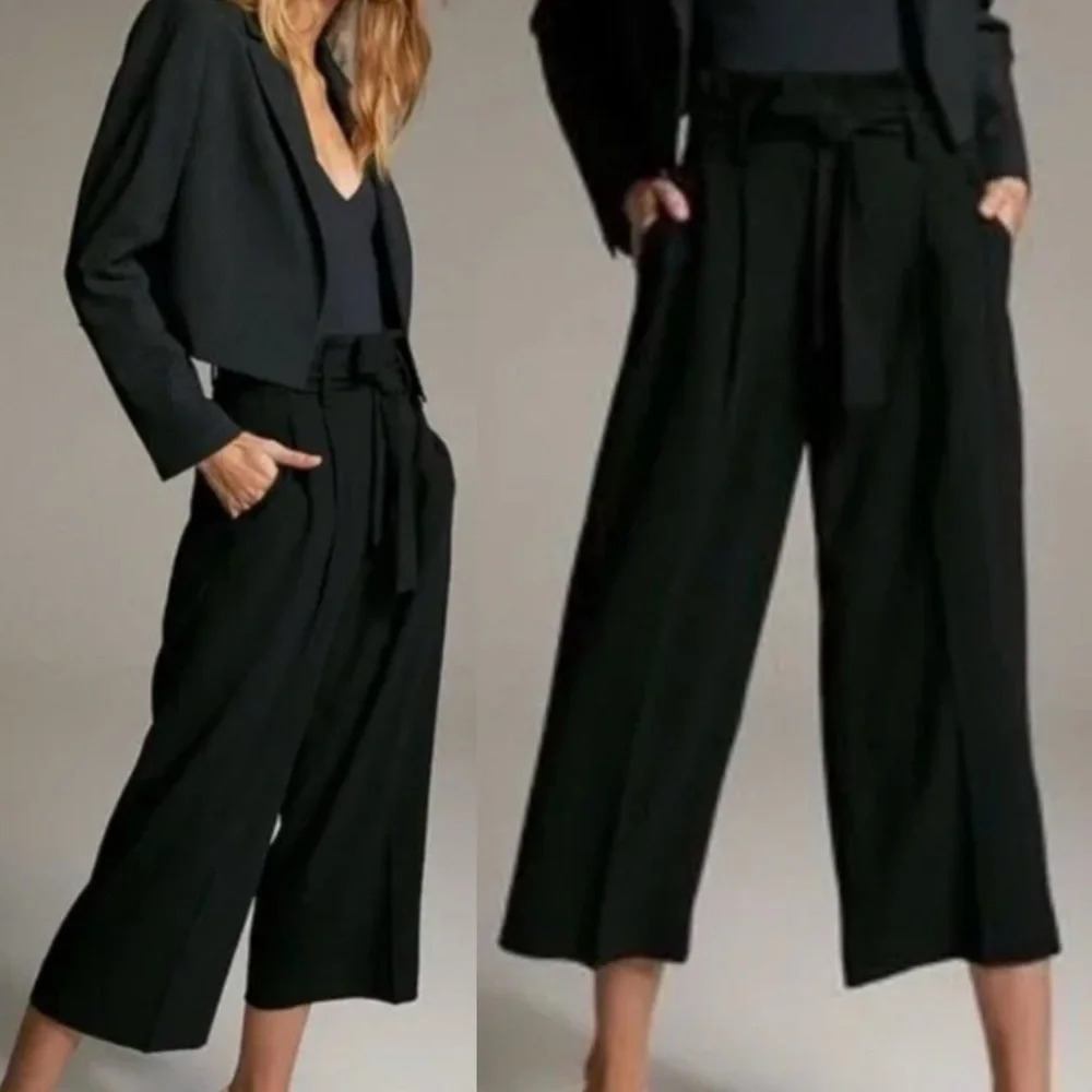 ARITZIA BABATON Linnea Belted Pleated Black Cropped Trousers Pants